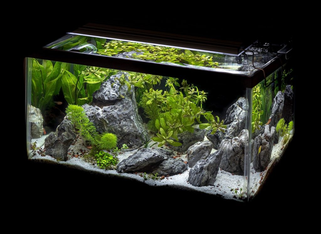 aquarium-led-lights