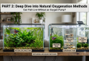 Can_Fish_Live_Without_an_Oxygen_Pump_part_2