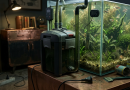 What Happens If Your Aquarium Filter Stops Working? (Emergency Guide) aquarium-filter-stops-working